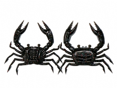 BLACK NIGHTMARE